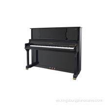 Piano de rendimiento profesional